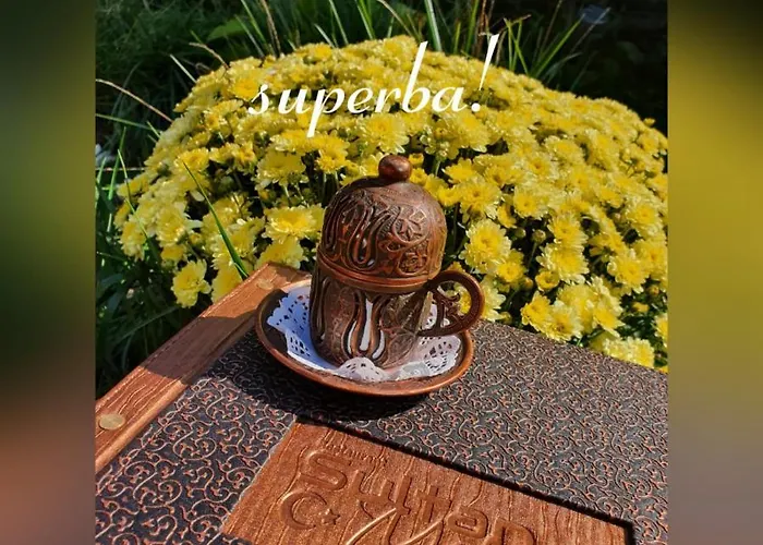 Sultan Mehmet & Restaurant 3* Braşov